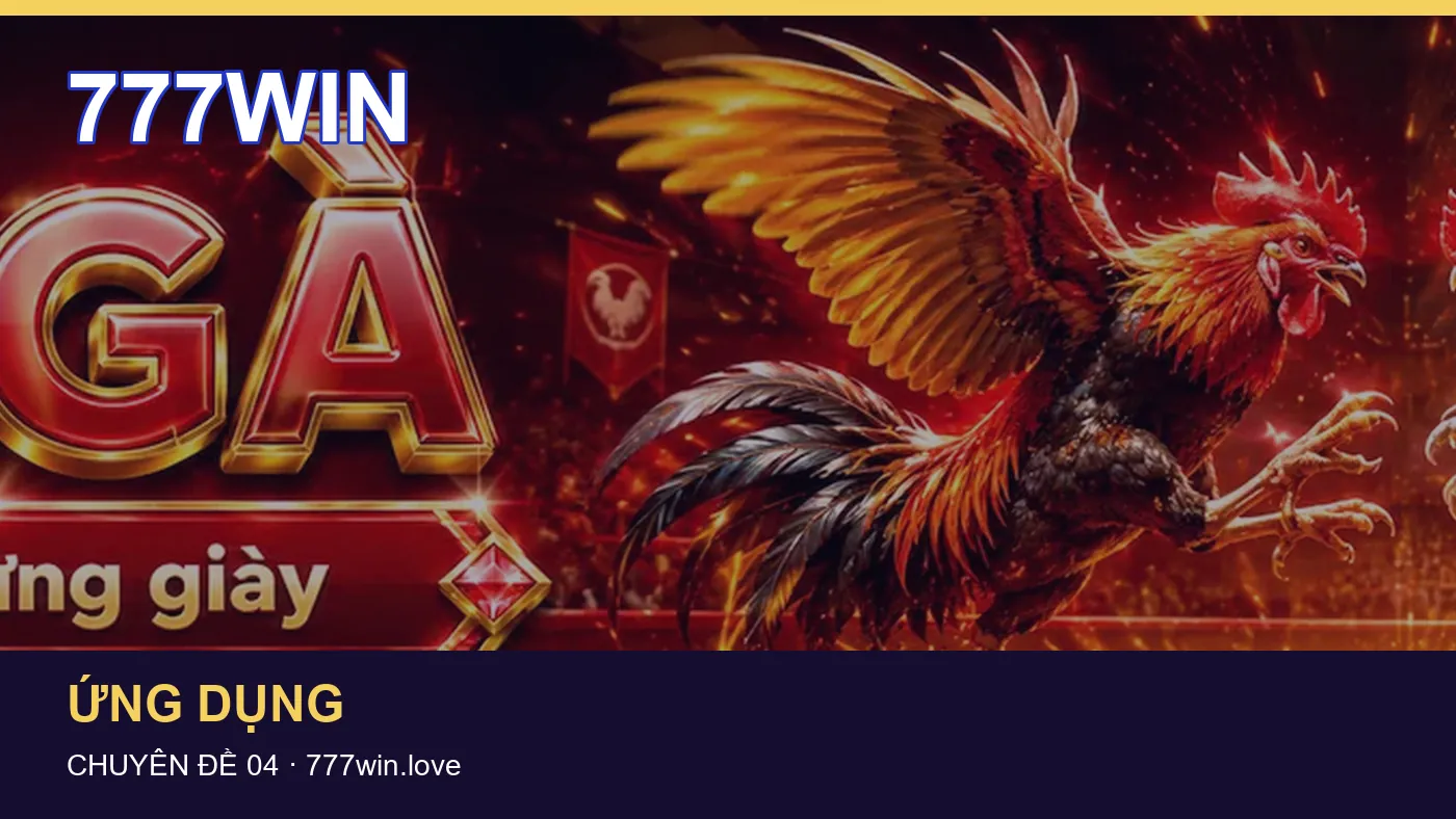 Những nhầm lẫn thường gặp khi đọc nội dung Tổng quan trên 777WIN